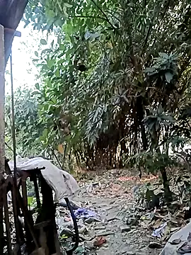 Hotty-rosni online show from November 27, 2:24 am