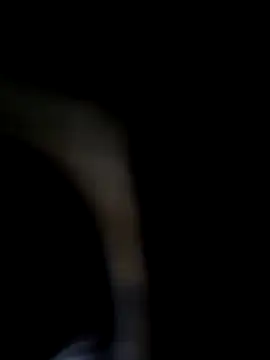 chocolate bella online show from October 11, 4:05 pm