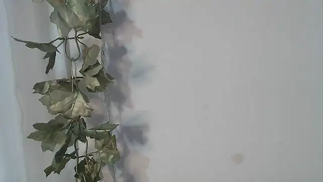 angelainparis28 online show from October 12, 4:55 am