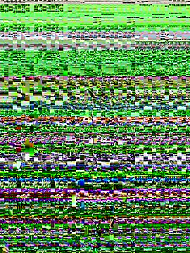 Snapshot of lynn9000 chatting on November 20, 5:18 am lynn9000 online show from November 20, 5:18 am