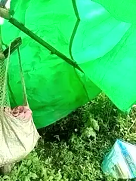 cicnci online show from November 9, 2:32 am