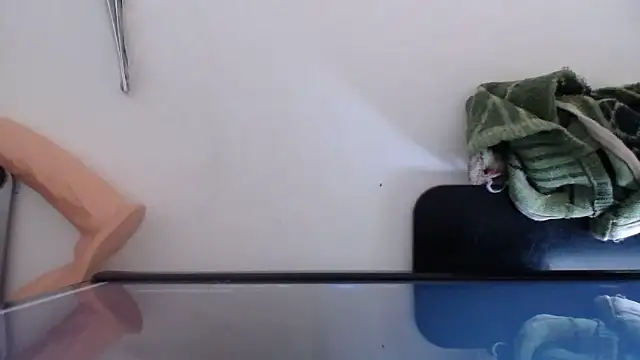 Snapshot of EbonyEssence chatting on April 14, 9:15 am EbonyEssence online show from April 14, 9:15 am