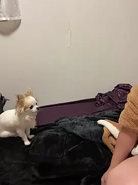 h415a812 online show from November 4, 7:35 pm