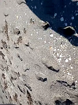 sarahkat86 online show from November 14, 6:28 pm