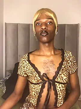 Snapshot of Trans_fairy chatting on October 25, 7:30 pm Trans fairy online show from October 25, 7:30 pm