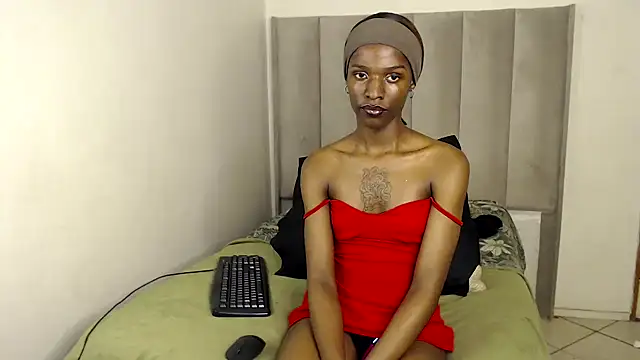 Snapshot of Trans_fairy chatting on November 27, 5:26 pm Trans fairy online show from November 27, 5:26 pm