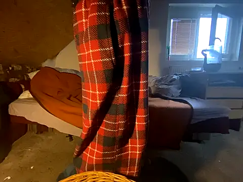 Salon1986 online show from November 9, 1:53 pm