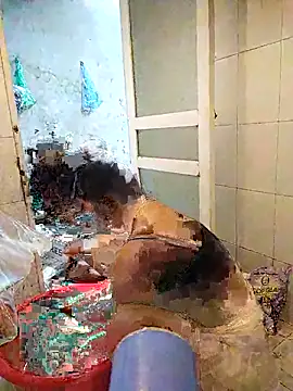 naop04 online show from October 21, 11:16 pm