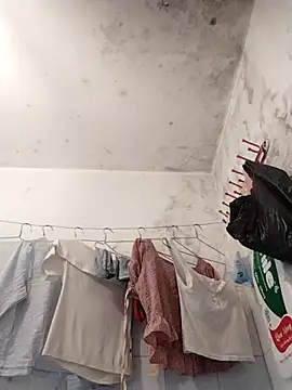 naop04 online show from November 1, 11:29 pm