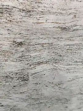 Snapshot of hot_plak chatting on November 30, 5:17 pm hot plak online show from November 30, 5:17 pm