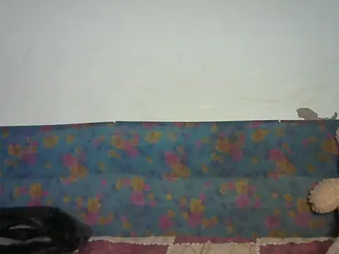 Baby doll9090 online show from January 14, 5:07 pm