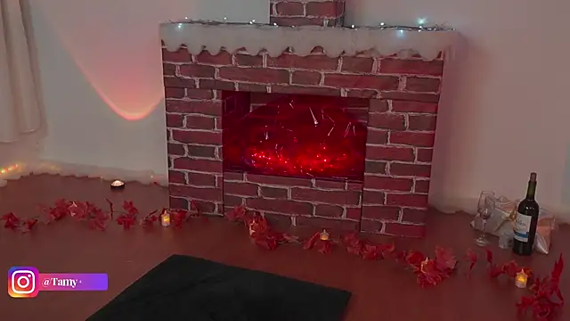 Tamyeliot online show from November 28, 3:09 am