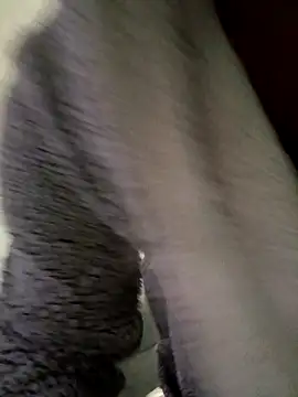 cameron334 online show from November 1, 1:29 am