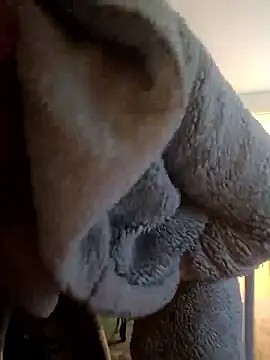 cameron334 online show from January 12, 12:10 pm