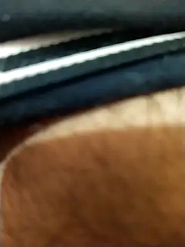 Snapshot of 8inches_DelhiBOY chatting on November 17, 5:13 am 8inches DelhiBOY online show from November 17, 5:13 am