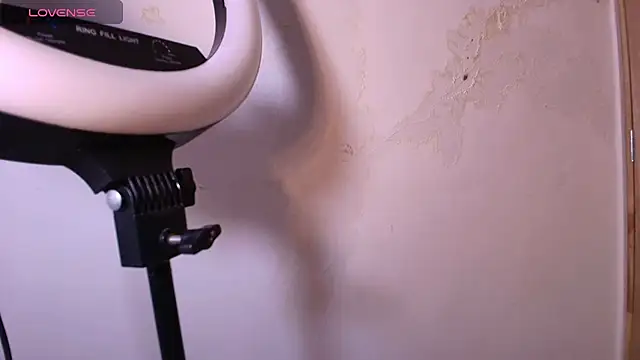 Terraelowen online show from November 29, 11:35 am