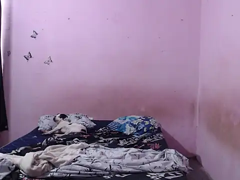 Snapshot of tianaprinc chatting on November 15, 12:45 pm tianaprinc online show from November 15, 12:45 pm