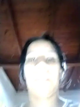 solpeich online show from February 14, 2:03 pm