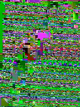 Jaydemasked online show from February 9, 9:57 am