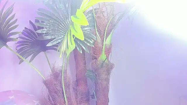 Angel superhuge online show from November 15, 8:16 pm