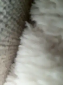 whitequeen xxx online show from November 20, 11:21 am