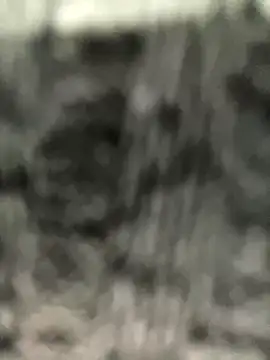 Snapshot of caroline__muller chatting on October 14, 10:49 am caroline muller online show from October 14, 10:49 am