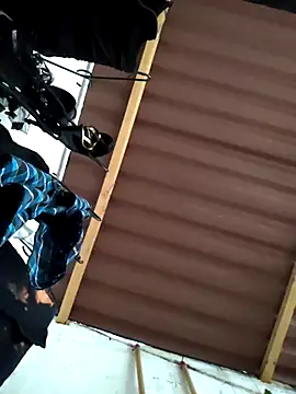 Snapshot of damian_bull chatting on November 24, 9:14 pm damian bull online show from November 24, 9:14 pm