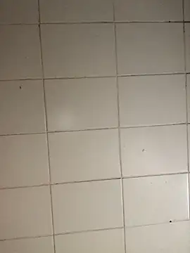 Snapshot of Novinhodotadomg chatting on November 5, 8:09 pm Novinhodotadomg online show from November 5, 8:09 pm