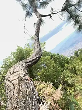 Alexis Spicter online show from September 16, 5:03 pm