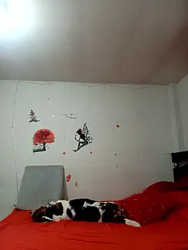 Snapshot of Lady_16 chatting on January 6, 1:53 am Lady 16 online show from January 6, 1:53 am