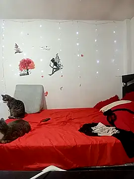 Snapshot of Lady_16 chatting on February 17, 1:57 am Lady 16 online show from February 17, 1:57 am