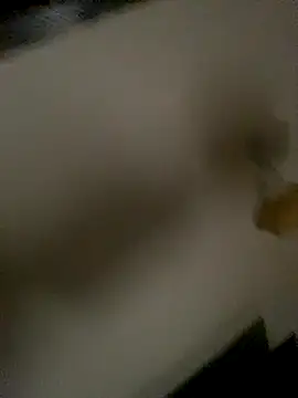 succy33 online show from October 15, 7:41 am