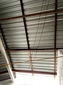 Axel-Mejia online show from January 15, 12:32 pm