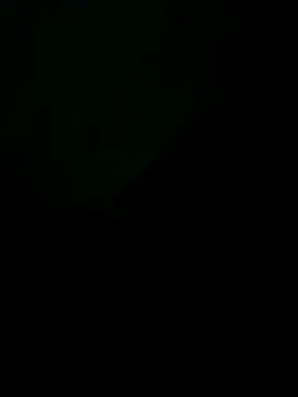 Liendro online show from November 20, 1:39 am