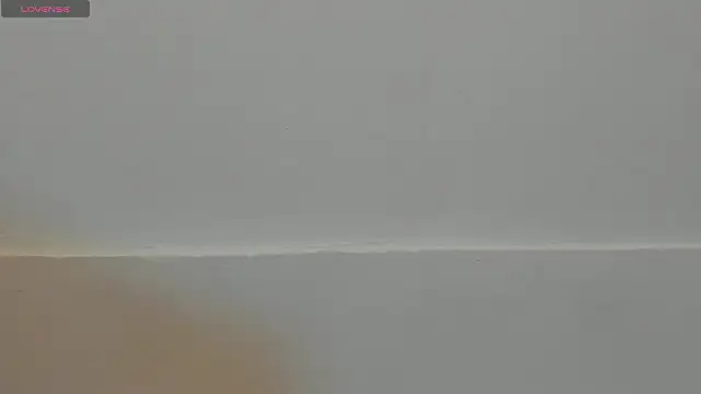 Snapshot of VioletRose_as chatting on February 11, 8:03 pm VioletRose as online show from February 11, 8:03 pm