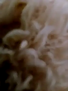 hanan-sex online show from November 29, 7:28 pm