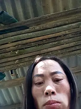 Snapshot of CoMay003 chatting on November 15, 6:22 am CoMay003 online show from November 15, 6:22 am