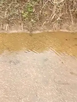 CoMay003 online show from March 12, 5:35 am