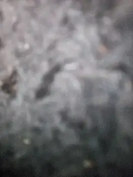 Romance32 online show from November 3, 7:31 am