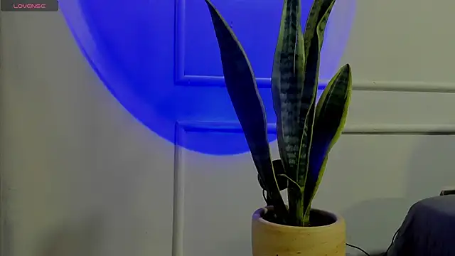 Snapshot of Ice_Princess_ chatting on October 2, 4:41 am Ice Princess online show from October 2, 4:41 am