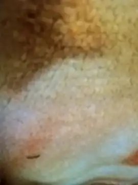 HOT-MUNDA online show from December 17, 1:33 am