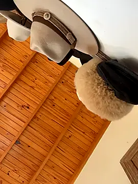 venuslibre online show from October 13, 11:21 am