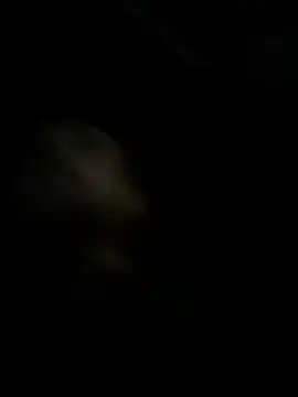 high3ndlowlife online show from November 27, 2:13 am