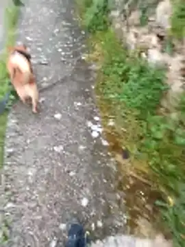 Axelitoc online show from April 16, 5:08 am