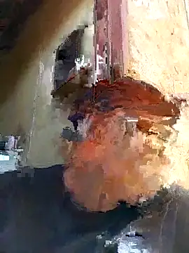 shebeshid online show from February 6, 7:34 am