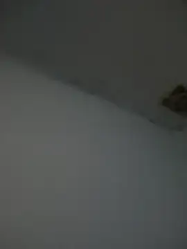 Snapshot of Kriffert chatting on November 1, 11:51 pm Kriffert online show from November 1, 11:51 pm