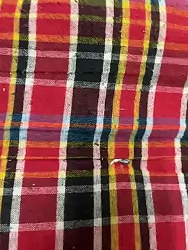 hamstar09 online show from October 17, 5:48 pm