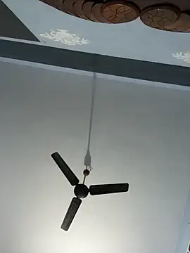 Telugu sex  online show from November 19, 1:22 pm