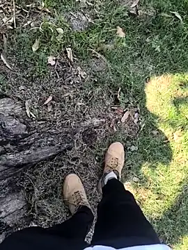 rajdehli online show from April 3, 6:00 am