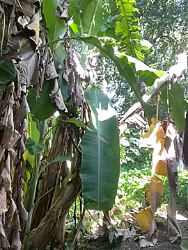 anastasia cums online show from October 17, 5:54 am